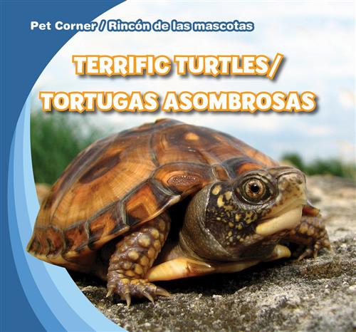 Terrific Turtles 